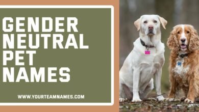 Gender Neutral Pet Names