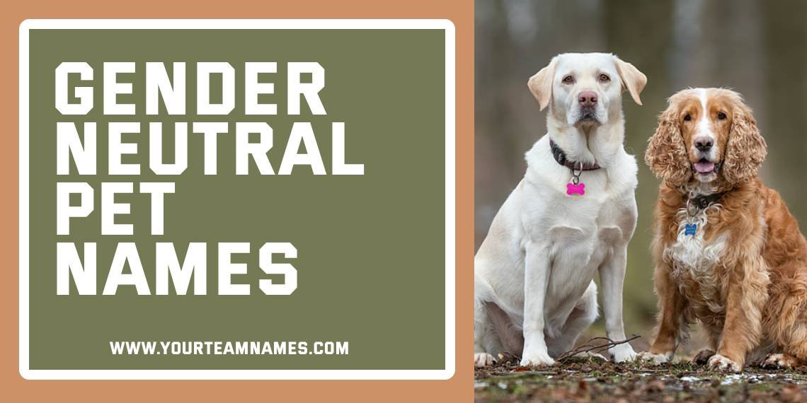 Gender Neutral Pet Names