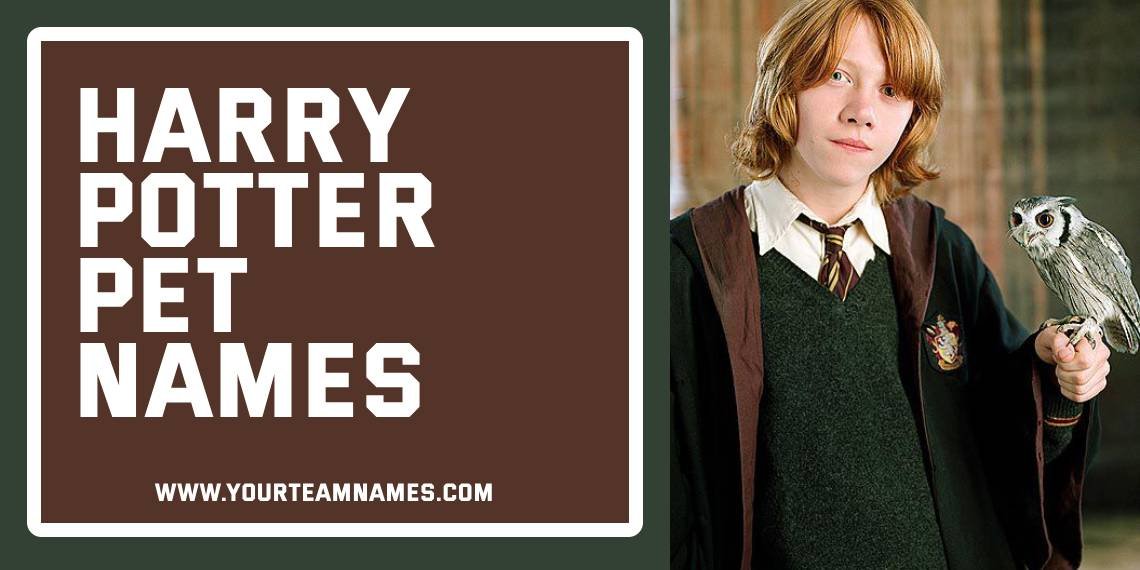 Harry Potter Pet Names