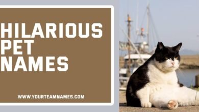 Hilarious Pet Names