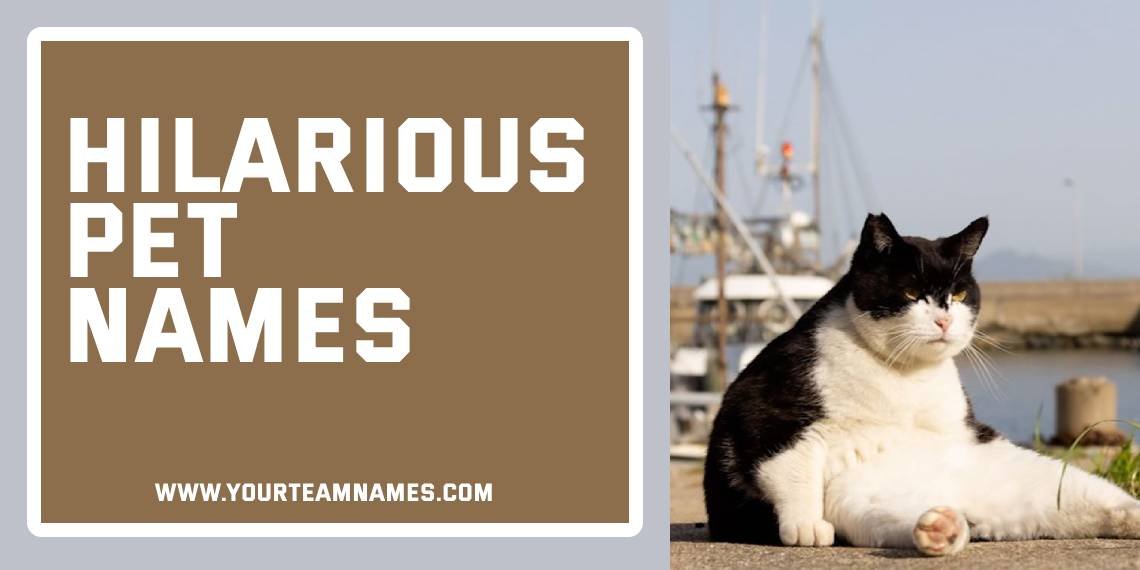 Hilarious Pet Names