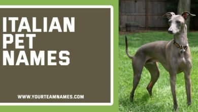 Italian Pet Names