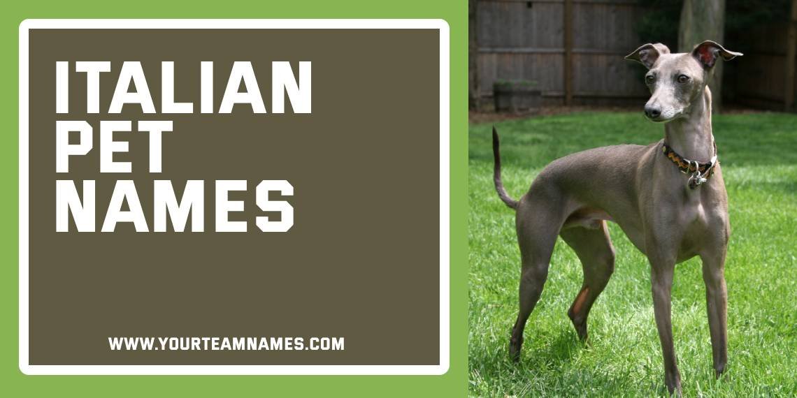 Italian Pet Names