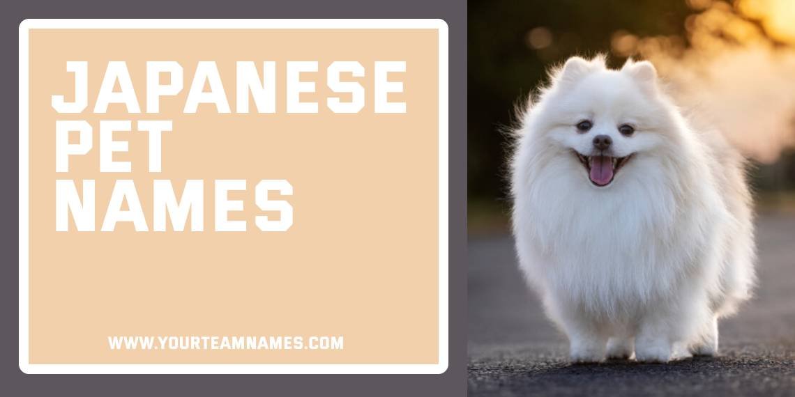 Japanese Pet Names