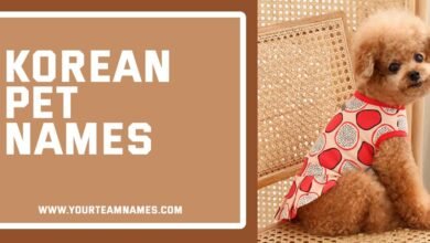 Korean Pet Names