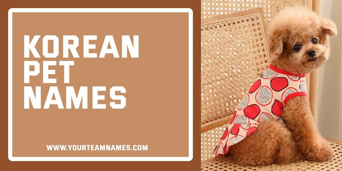 Korean Pet Names