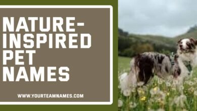 Nature-Inspired Pet Names