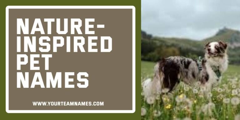 Nature-Inspired Pet Names: 580+ Earthy, Fresh & Totally Heart-Stealing Picks for Your Furry Bestie