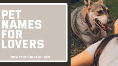 Pet Names for Lovers