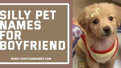 Silly Pet Names for Boyfriend