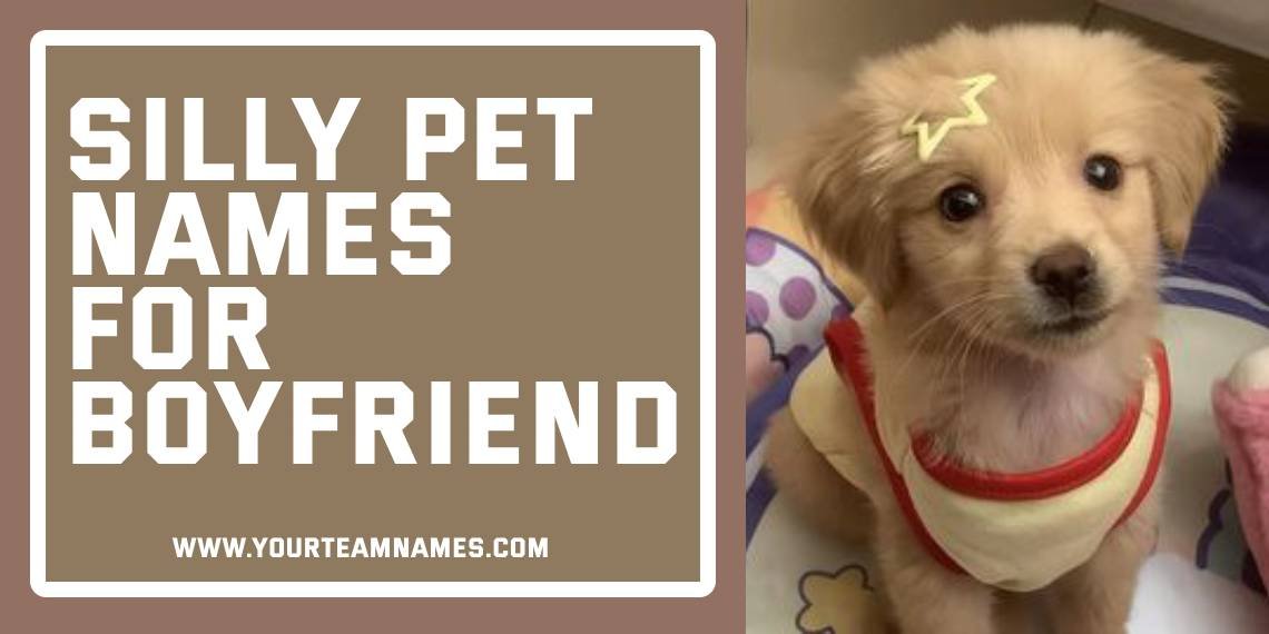 Silly Pet Names for Boyfriend