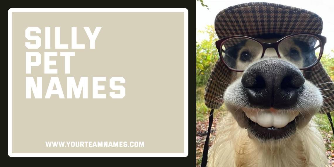 Silly Pet Names