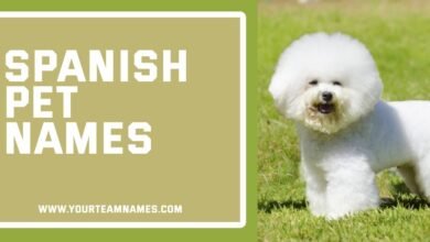 Spanish Pet Names