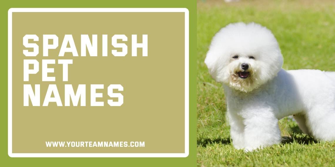 Spanish Pet Names