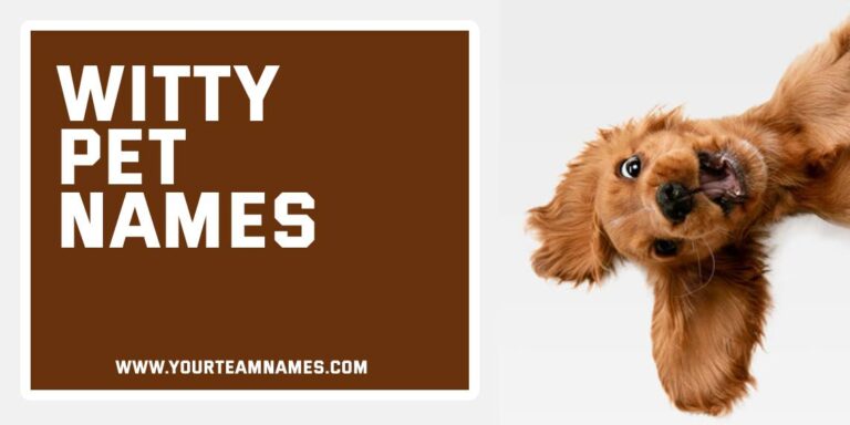 Witty Pet Names: 370+ Clever, Funny & Unexpectedly Meaningful Picks for Your Smart Little Sidekick