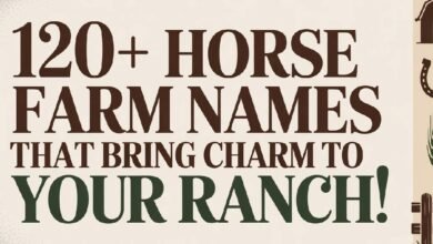horse farm names