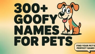 goofy names for pets
