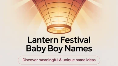 150+ Lantern Festival Baby Boy Names