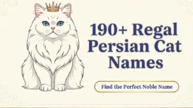 190+ Regal Persian Cat Names
