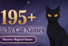 195+ Witchy Cat Names