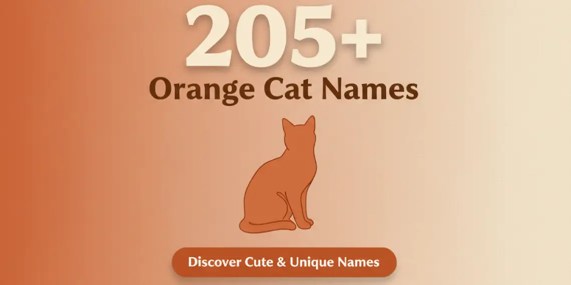 205+ Orange Cat Names
