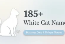 White Cat Names