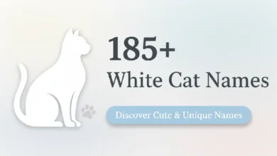 White Cat Names