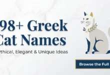 Greek Cat Names