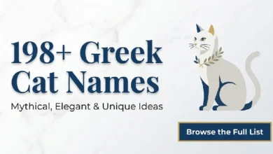 Greek Cat Names