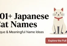 Japanese Cat Names
