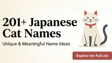 Japanese Cat Names