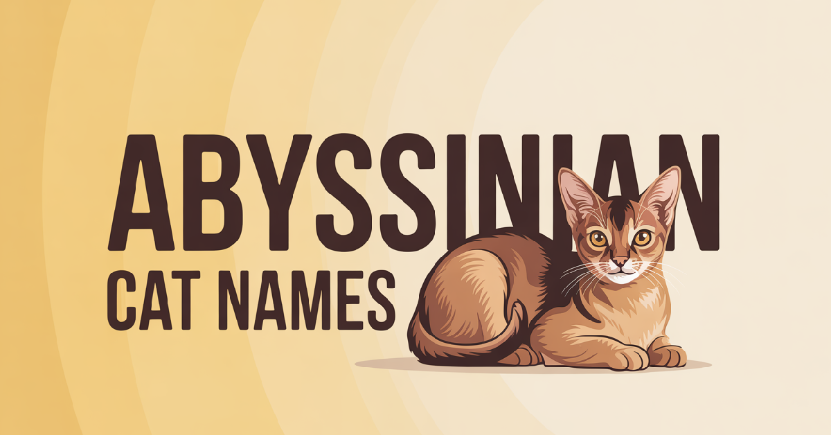 Abyssinian Cat Names With Meanings