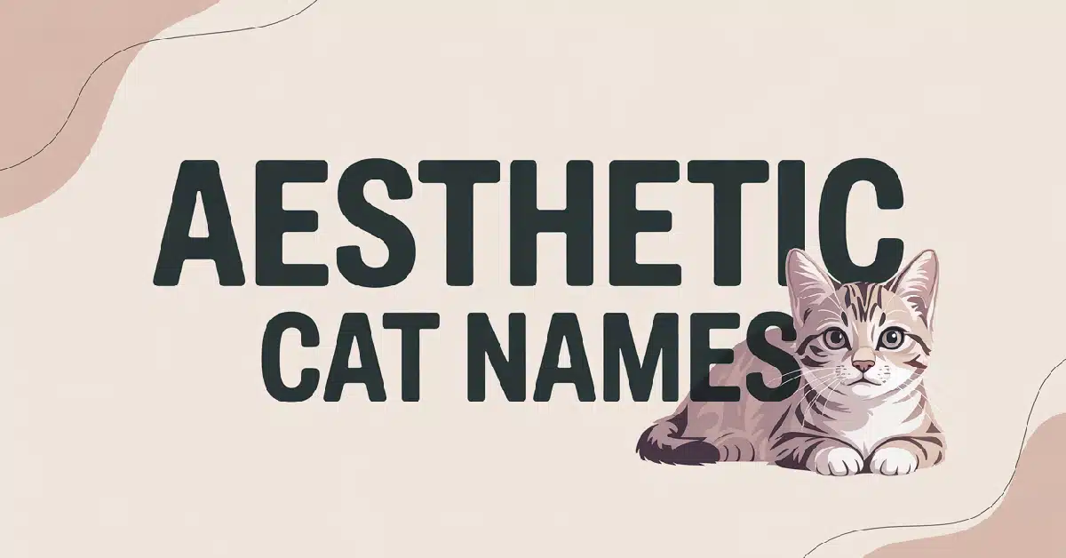 Aesthetic Cat Names With Meanings