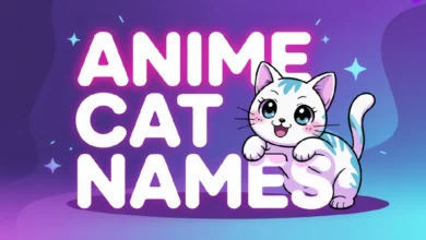 Anime Cat Names With Meanings