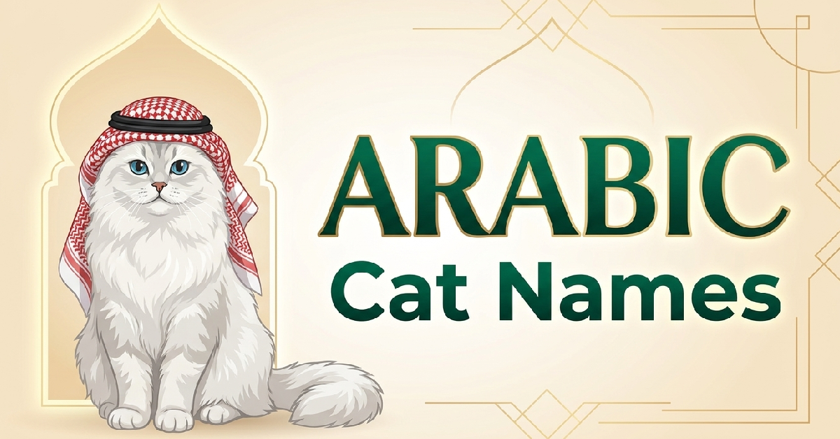 Arabic Cat Names With Meanings