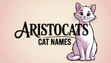 Aristocats Cat Names With Meanings