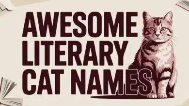Awesome Literary Cat Names With Meanings