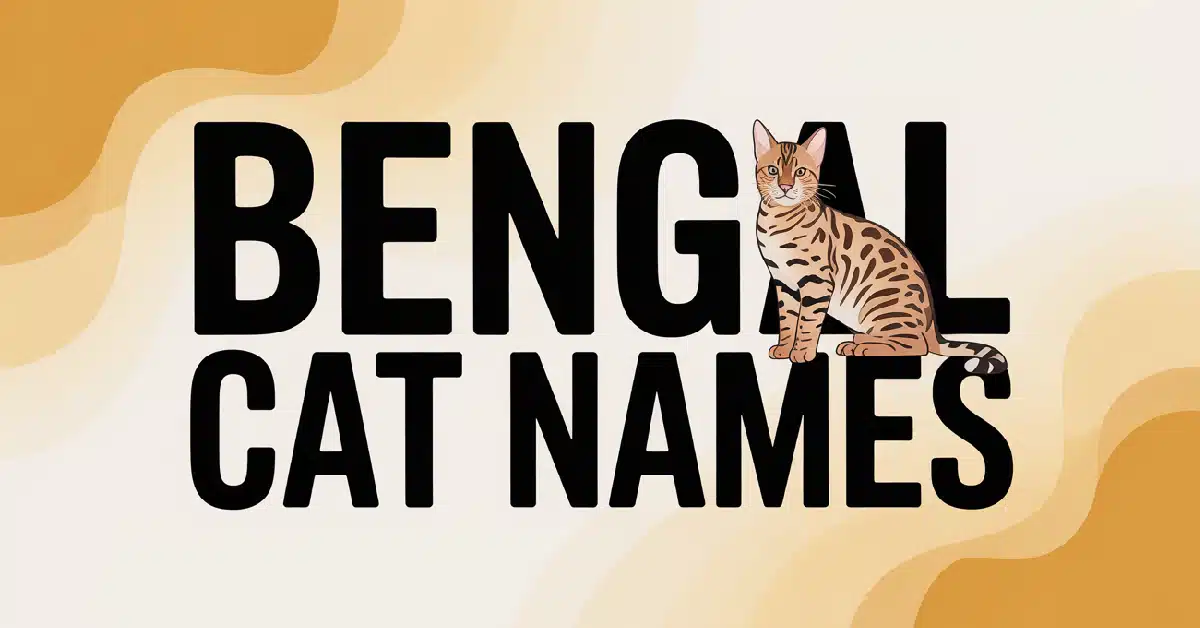 Bengal Cat Names