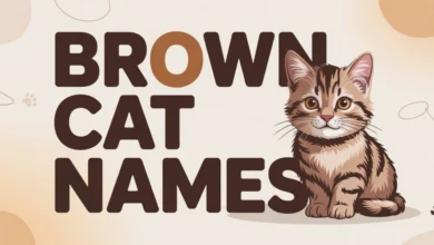 Brown Cat Names With Meanings