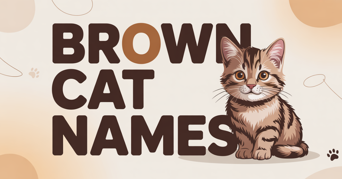 Brown Cat Names With Meanings