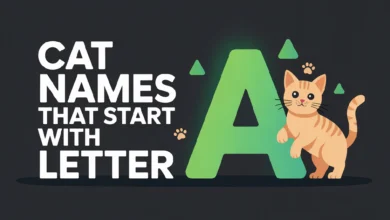 Cat Names That Start With Letter A