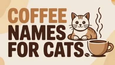 Coffee Names For Cats With Meanings