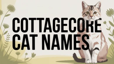 Cottagecore Cat Names With Meanings