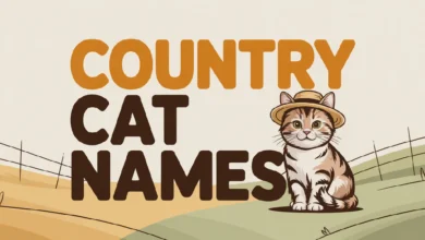 Country Cat Names With Meanings