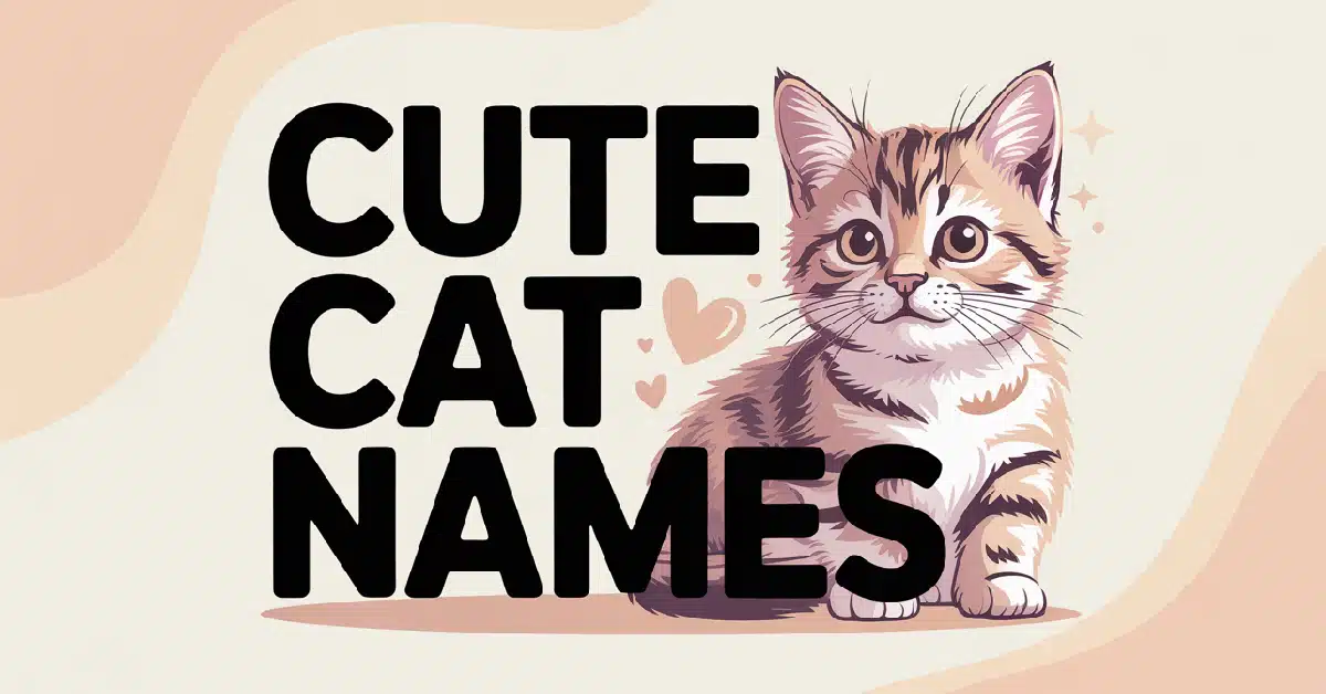 Cute Cat Names