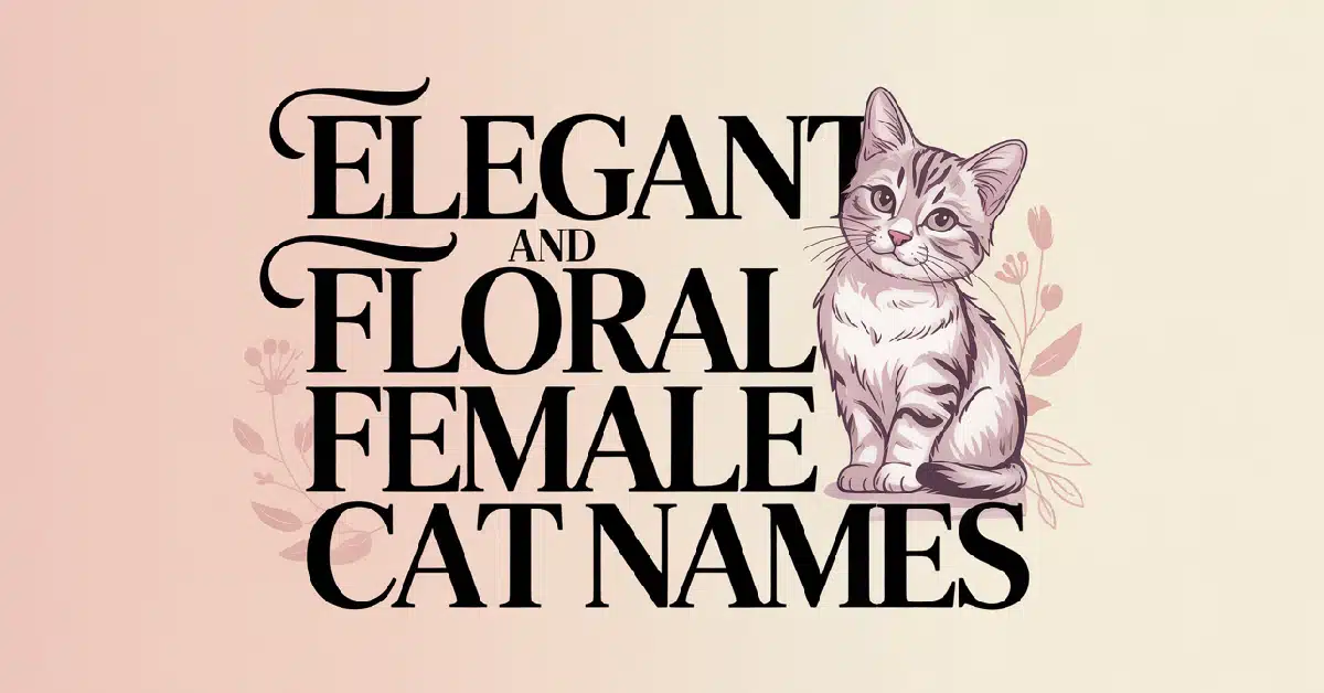 Elegant And Floral Female Cat Names With Meanings