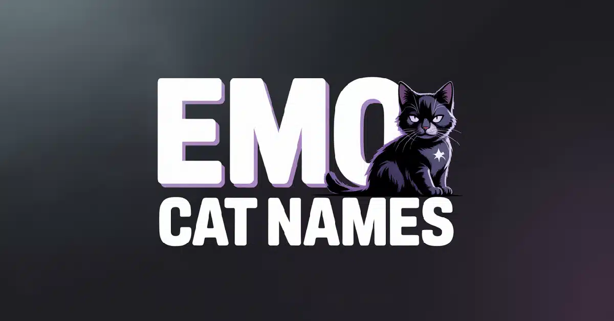 Emo Cat Names With Meanings