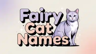 Fairy Cat Names With Meanings