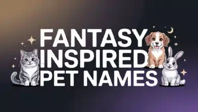 Fantasy Inspired PET Names With Meanings