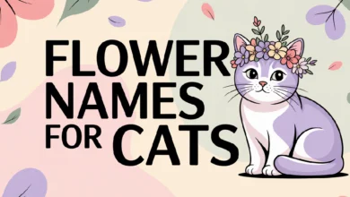 Flower Names For Cats With Meanings